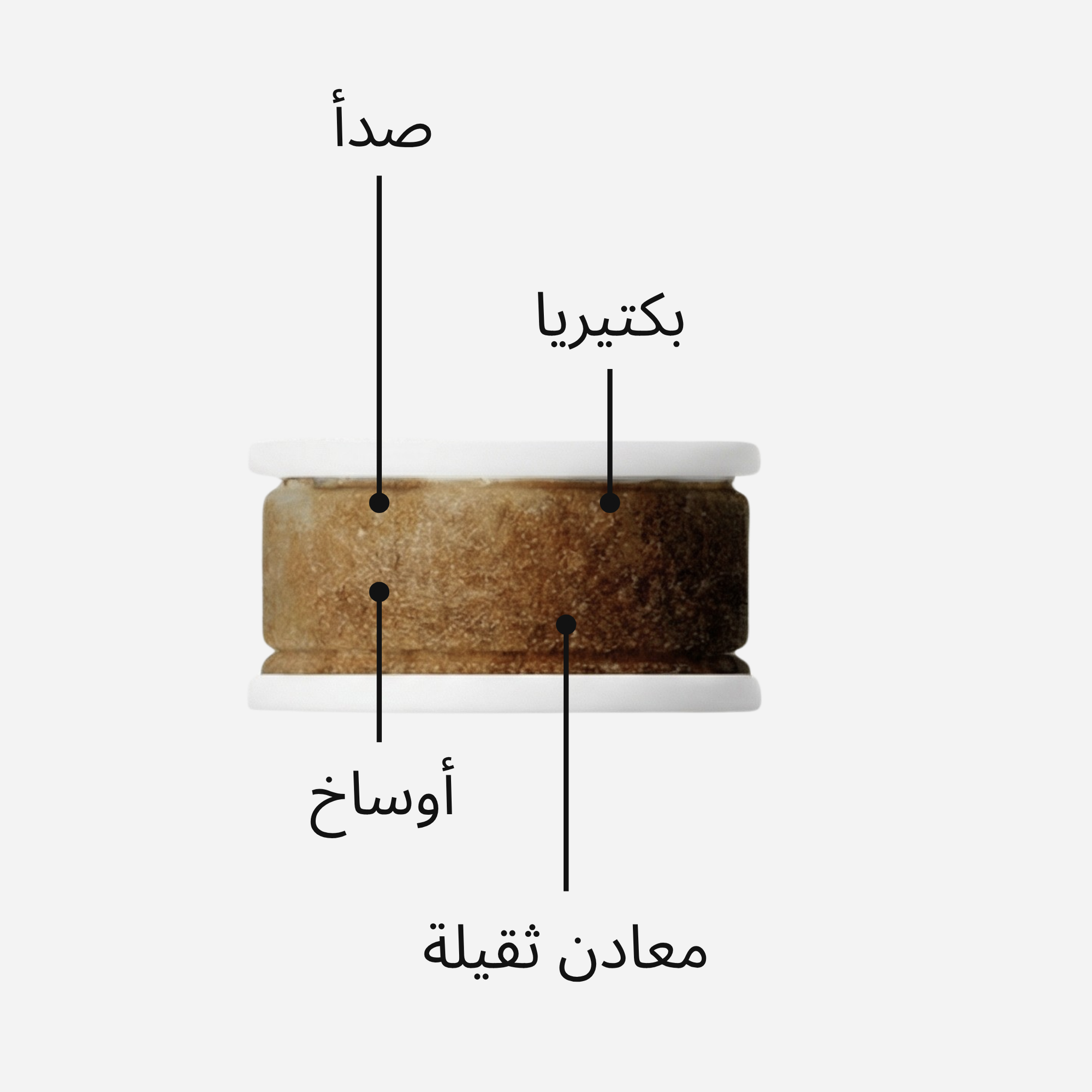 ما مدى خطورة مياه الصنبور لديك حقًا.